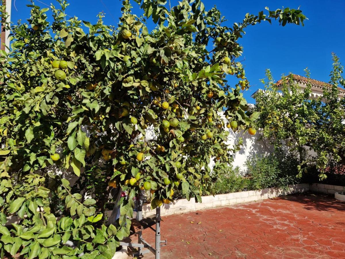Apartahotel Costa Marbella